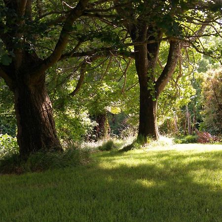 Purple Hen Country Lodge Katikati Exterior foto