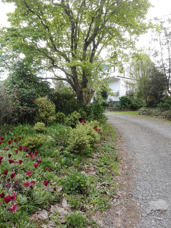 Purple Hen Country Lodge Katikati Exterior foto