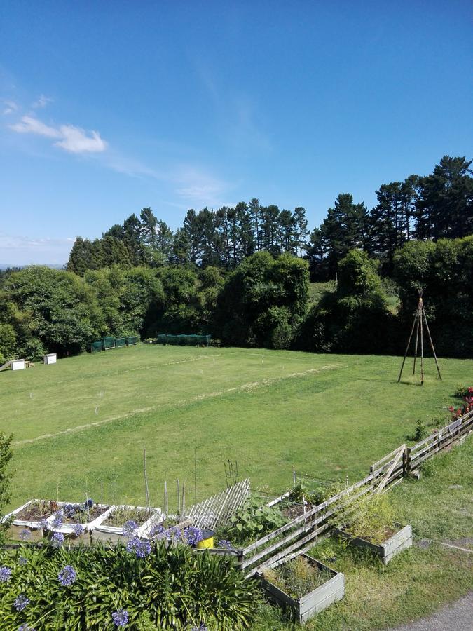 Purple Hen Country Lodge Katikati Exterior foto