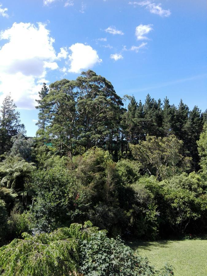 Purple Hen Country Lodge Katikati Exterior foto